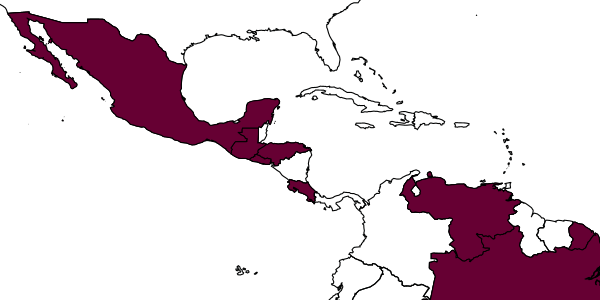 map of Jaliscoa bouceki     Gibson, 2013